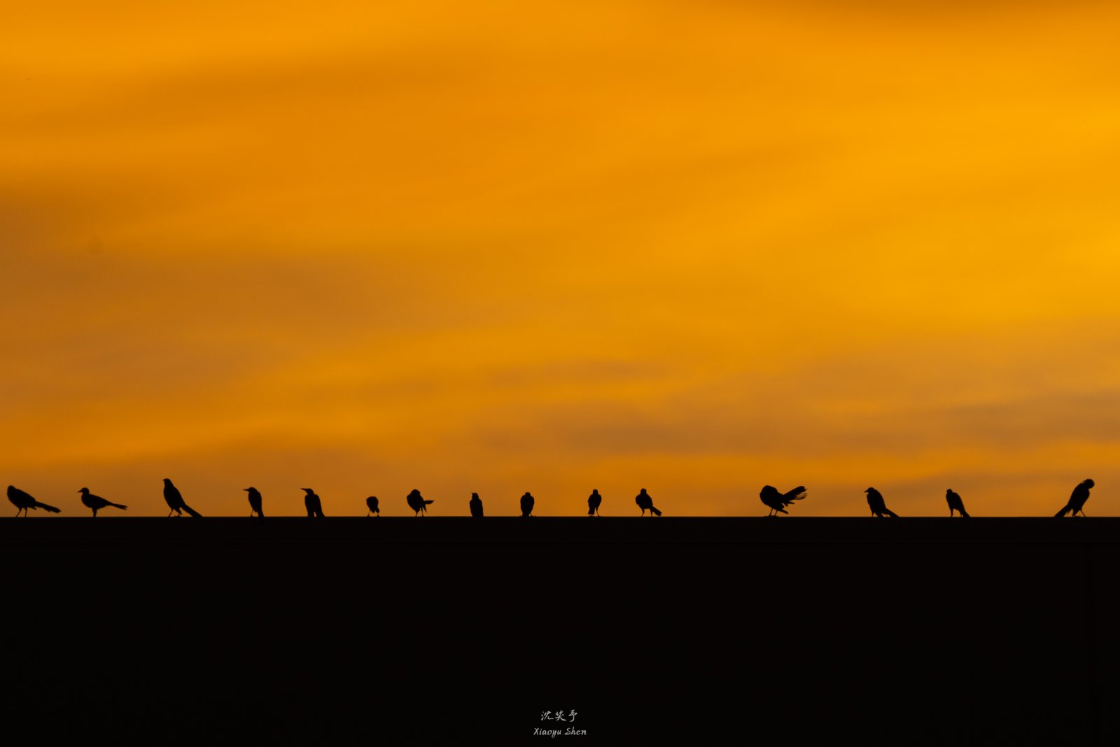 EDN07303 - B2B hero visual